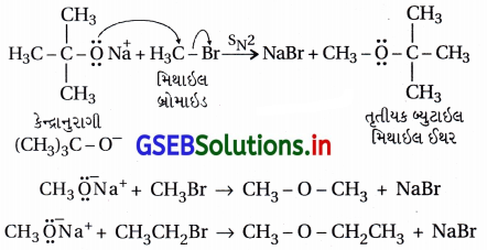 GSEB Solutions Class 12 Chemistry Chapter 11 આલ્કોહૉલ, ફિનોલ અને ઇથર સંયોજનો 51