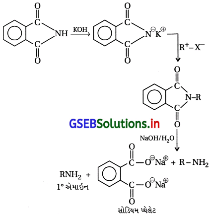 GSEB Solutions Class 12 Chemistry Chapter 13 એમાઇન સંયોજનો 70
