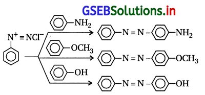 GSEB Solutions Class 12 Chemistry Chapter 13 એમાઇન સંયોજનો 71
