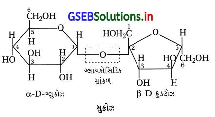 GSEB Solutions Class 12 Chemistry Chapter 14 જૈવિક અણુઓ 1