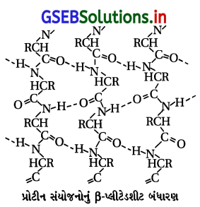 GSEB Solutions Class 12 Chemistry Chapter 14 જૈવિક અણુઓ 13
