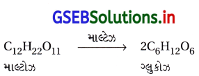 GSEB Solutions Class 12 Chemistry Chapter 14 જૈવિક અણુઓ 16