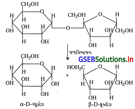 GSEB Solutions Class 12 Chemistry Chapter 14 જૈવિક અણુઓ 2