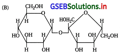 GSEB Solutions Class 12 Chemistry Chapter 14 જૈવિક અણુઓ 25