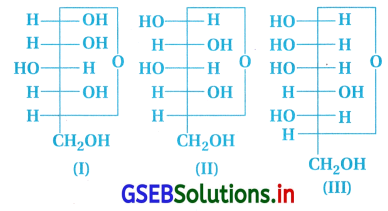 GSEB Solutions Class 12 Chemistry Chapter 14 જૈવિક અણુઓ 27