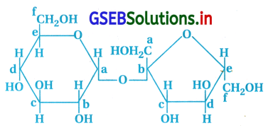 GSEB Solutions Class 12 Chemistry Chapter 14 જૈવિક અણુઓ 29