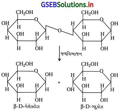 GSEB Solutions Class 12 Chemistry Chapter 14 જૈવિક અણુઓ 3
