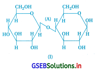 GSEB Solutions Class 12 Chemistry Chapter 14 જૈવિક અણુઓ 30