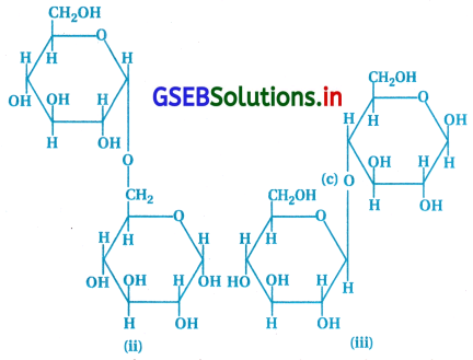 GSEB Solutions Class 12 Chemistry Chapter 14 જૈવિક અણુઓ 31