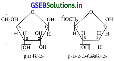 GSEB Solutions Class 12 Chemistry Chapter 14 જૈવિક અણુઓ 41