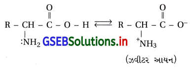 GSEB Solutions Class 12 Chemistry Chapter 14 જૈવિક અણુઓ 45