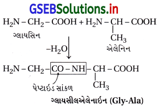 GSEB Solutions Class 12 Chemistry Chapter 14 જૈવિક અણુઓ 47