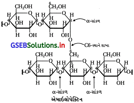 GSEB Solutions Class 12 Chemistry Chapter 14 જૈવિક અણુઓ 5