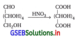 GSEB Solutions Class 12 Chemistry Chapter 14 જૈવિક અણુઓ 51
