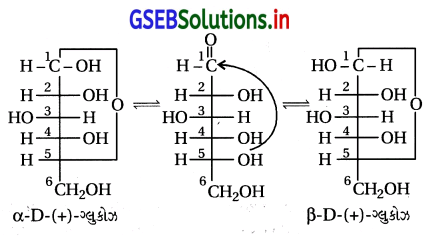 GSEB Solutions Class 12 Chemistry Chapter 14 જૈવિક અણુઓ 55