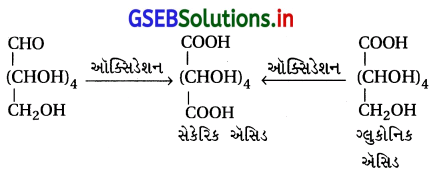 GSEB Solutions Class 12 Chemistry Chapter 14 જૈવિક અણુઓ 59