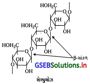 GSEB Solutions Class 12 Chemistry Chapter 14 જૈવિક અણુઓ 6