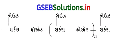 GSEB Solutions Class 12 Chemistry Chapter 14 જૈવિક અણુઓ 63