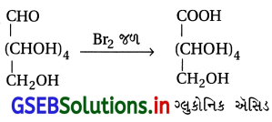 GSEB Solutions Class 12 Chemistry Chapter 14 જૈવિક અણુઓ 8