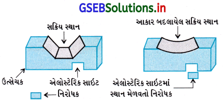 GSEB Solutions Class 12 Chemistry Chapter 16 રોજિંદા જીવનમાં રસાયણવિજ્ઞાન 36