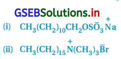 GSEB Solutions Class 12 Chemistry Chapter 16 રોજિંદા જીવનમાં રસાયણવિજ્ઞાન 7