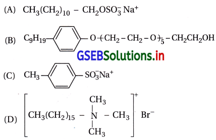 GSEB Solutions Class 12 Chemistry Chapter 16 રોજિંદા જીવનમાં રસાયણવિજ્ઞાન 9